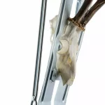 Scie pour massacre eurohunt