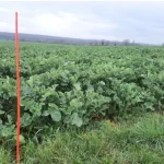 Jalons de poste orange fluo emboitable