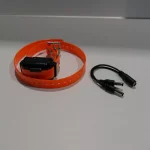 Collier suplementaire dogtra iq plus