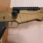 Carabine ruger rimfire precision modele tan cal 22lr 2 chargeurs arme cat C