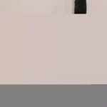 arme d' epaule carabine legacy armament ar-9 calibre 9x19mm 8'' 2 chargeurs arme cat B