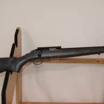 Carabine ruger rimfire target cal 22lr arme cat C