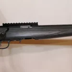 Carabine ruger rimfire target cal 22lr arme cat C