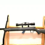 Carabine savage stevens 300f custom silence + lunette cal 22lr arme cat C
