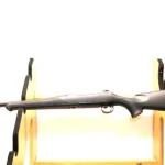 Carabine de chasse Sauer 100 Classic Xt cal 30.06 arme cat C