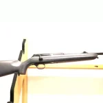 Carabine de chasse Chapuis Rol's Pro Hunter cal 30.06 arme cat C