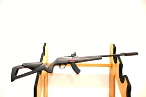 pack carabine occasion semi auto Winchester wildcat chargeur 10 + 15 coups cal 22lr arme cat B