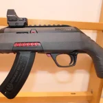 pack carabine occasion semi auto Winchester wildcat chargeur 10 + 15 coups cal 22lr arme cat B