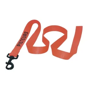 Laisse pour chien de chasse pisteurs