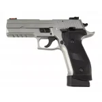 Pistolet sig Sauer p226 ldc tacops 1 seul chargeur cal 9x19 arme cat B