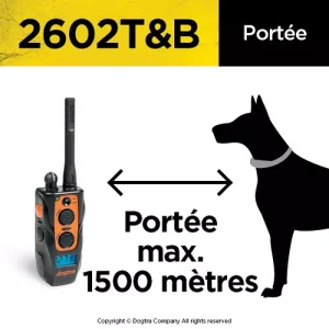 Collier de dressage dogtra 2602  T&B