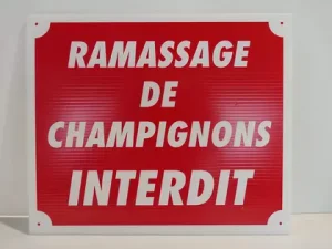 Panneau pvc ramassage de champignons interdit