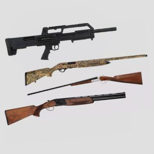 Fusils de chasse
