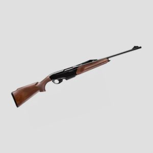 Carabines semi-automatiques